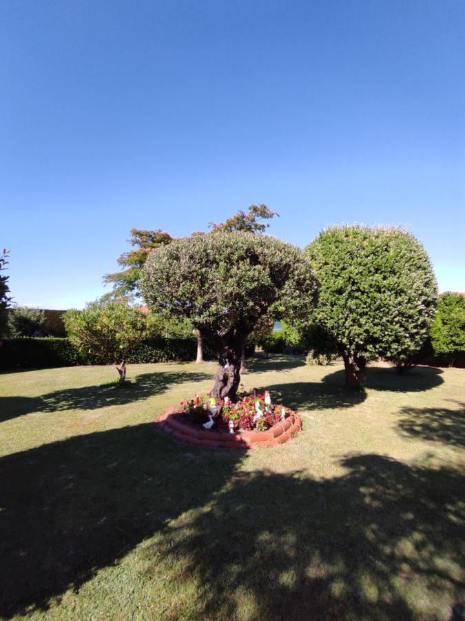 Pension Casa Carmela Playa de la Lanzada Eksteriør billede